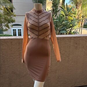One-Shoulder Sheer-Panel Bodycon Dress in Dusty Peach